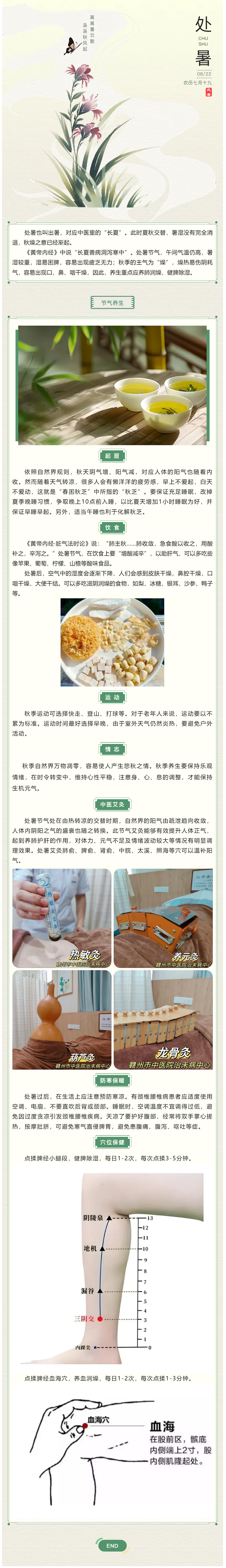 【我的節節】處暑節氣養生.png
